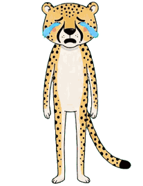 チーター 11