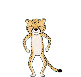 チーター 16