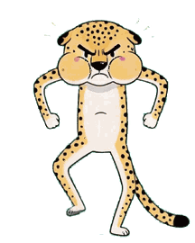 チーター 18