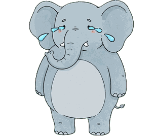 ゾウ 11