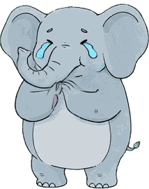 ゾウ 24