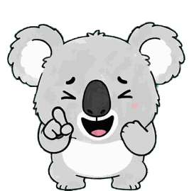 コアラ 12