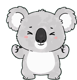 コアラ 15