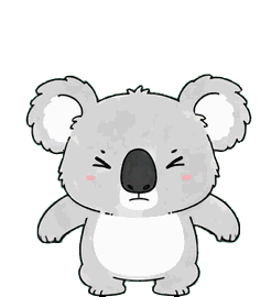 コアラ 16