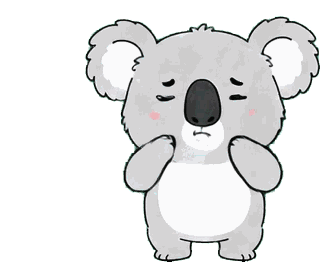 コアラ 23