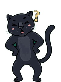 黒ヒョウ 13